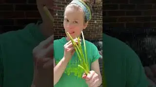 Dealing with the Abundance: eating our garden weeds! #growyourownfood #foraging
