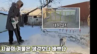 눈 내린 마당, 겨울을 정리하는 하루| 대문달기| 시골살이 첫 겨울의 현실