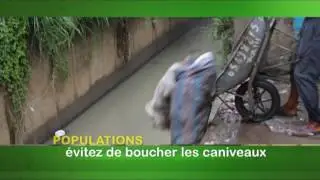 MINISTERE DE LA SALUBRITE   LUTTE CONTRE    L'INSALUBRITE