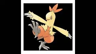 #256 Combusken