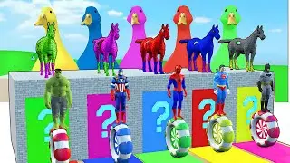 Long Slide Game with Superhero Wheels and Animal Cages &ndash; Funny Color Match Game- 3D Animal Game