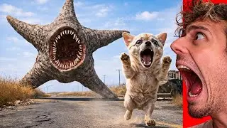 MONSTER STARFISH WAS RIGHT BEHIND OUR DOG&hellip;😨