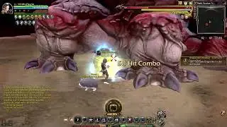 Dragon Nest NA | Nstg A5 Raven
