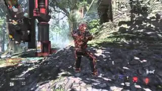 Cod AW - MP11 Royalty