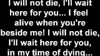 Three Days Grace - Time of Dying (lyrics)