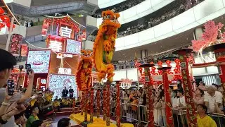 Acrobatic Lion Dance (múa lân 高桩舞獅) by Khuan Loke 群乐 @ One Utama Mall, Malaysia. CNY2026 20260131