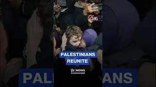 Palestinians reunite with loved ones after partial Rafah opening