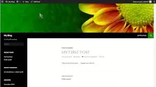 How to write a new post in WordPress | AltusHost Tutorials