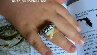 #Tiger #Shark #Ivory #Carved #ring