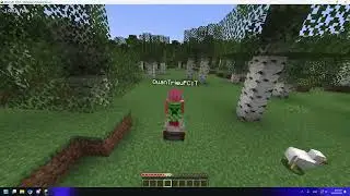 this MUST be a thing