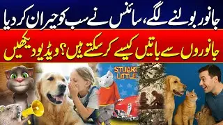 Talking With Animals Possible Now - How You Can Talk & Understand Animals Language ? - 24 News HD