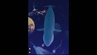 I got the 1000 year old blue whale! 🎉🎉🎉