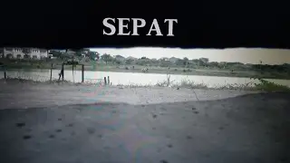 SEPAT