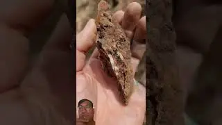 #goldrush #mining #geology #gold