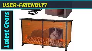 `Amazing Dog House? 59