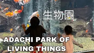 足立区生物園 Adachi Park of Living Things VLOG 49