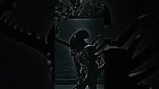 Xenomorph (ALIEN) vs Yautja (Predator)