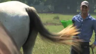 taylor hanes getting kicked by a horse