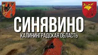4К. Синявино. Гусевский район. Калининградская область