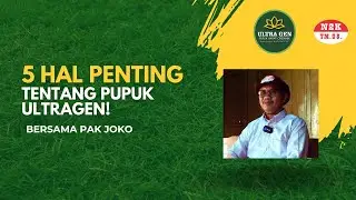 5 Hal Penting Tentang Pupuk Ultragen! | Bersama JOKO