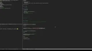 antoniole02 sdl2 programming live test