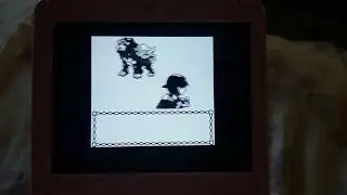 Shiny Roaming Entei on Pokemon Silver After Only ~300 Encounters!