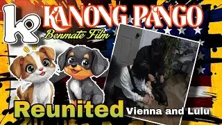 (Reactions)DOGS REUNITED WITH THE OWNER 