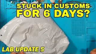 Package was STUCK IN CUSTOMS for 6 DAYS - 2025 Lab Update 5