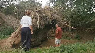 EP280 - Fallen Trees, Heavy Lifting and a Walk Through our Meadow