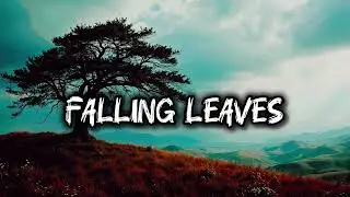 Falling Leaves New English Song 2026 l English Song 