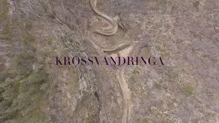 Krossvandringa