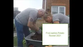 First early Potato Reveal 2021