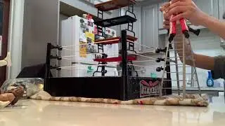 Playing with WWE figures