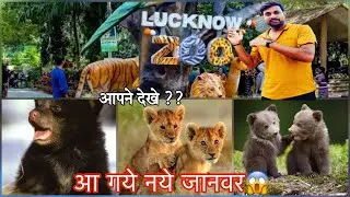 लखनऊ&nbsp;का चिडियाघर |Lucknow zoo #lucknow #zoo