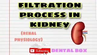 Filtration process in kidney .Renal physiology NBDE USMLE GUYTON