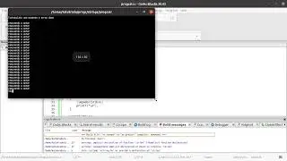 Limpando o buffer do Enter ao ler Strings com fgets() Linguagem C