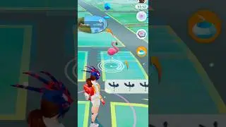 Why This New Pok&eacute;mon Have To Much Cp! #shorts #debut #flamigo #highcp #ultragoo #new #catch #event