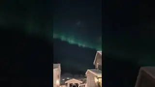 Northern Lights💚 #norway #winter #night #northernlights #aurora #vibes #mood #view #viral #shorts
