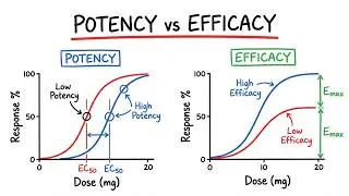 EC50, ED50, Potency & Efficacy Explained | Dose&ndash;Response Curves Made Simple for Pharmacology