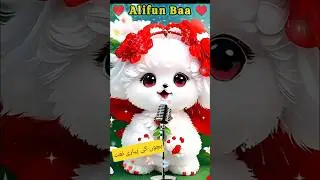 Alif Baa Taa for Kids 🐾 | Cute Cat Recites Arabic Naat 😻 | Arabic Learning Shorts #MeowNaat