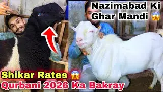 Sirf 6 Hazar Me 😍 Ghar Me Karachi Ki Sasti Bakra Mandi 🚨 Teddy Bakra & Heavy Dumba For Qurbani 2026 