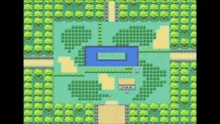 Safari Zone/Evolution HQ OST (Pokemon Fire Red & Leaf Green)