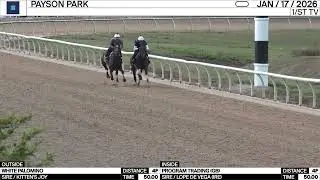 Millie Ball previews the Pegasus W.C. Turf at Gulfstream Park