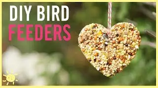 DIY | How to Make a Bird Feeder (Easy Kids Craft!)