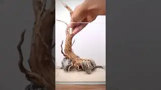 Creating a hardscape for a nano cube aquascape