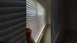 Unit 24 one bed at 1805 e Wardlow Rd Long Beach ca bixby knolls
