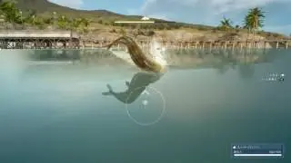 FINAL FANTASY XV JUDGMENT DISC (Fishing)