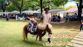 01.01.2026 [Coco Farm Cambodia🐄🐮]