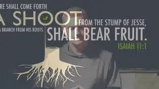 Fr John Moloney The Root of Jesse