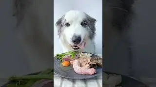 Deliciously Smooth Duck Intestine Challenge! 🦆 #CutePetDebutPlan #JuicyMeat...